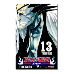 Bleach N.13