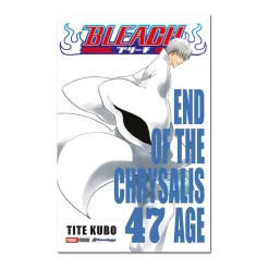 Bleach N.47