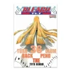 Bleach N.36