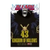 Bleach N.43 (De 74)