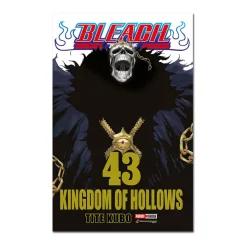 Bleach N.43 (De 74)
