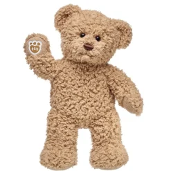 Build-A-Bear Oso Teddy