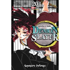 Demon Slayer N.20