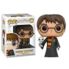 Funko Pop Harry Potter: Harry potter Con Hedwig