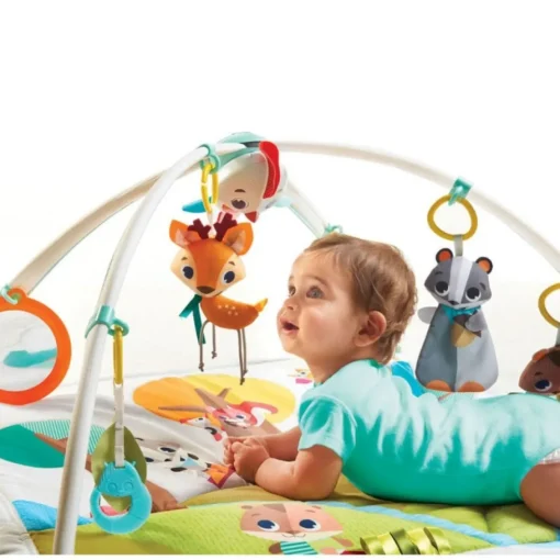 Gimnasio En El Bosque de Lujo Tiny Love