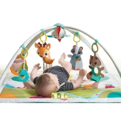 Gimnasio En El Bosque de Lujo Tiny Love