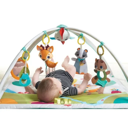 Gimnasio En El Bosque de Lujo Tiny Love
