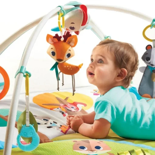Gimnasio En El Bosque de Lujo Tiny Love