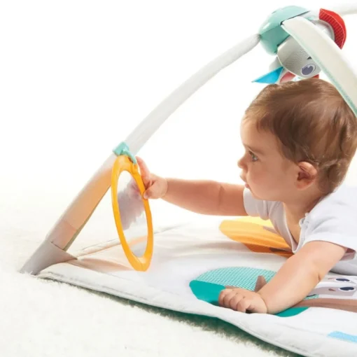 Gimnasio En El Bosque de Lujo Tiny Love