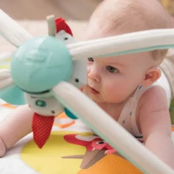 Gimnasio En El Bosque de Lujo Tiny Love