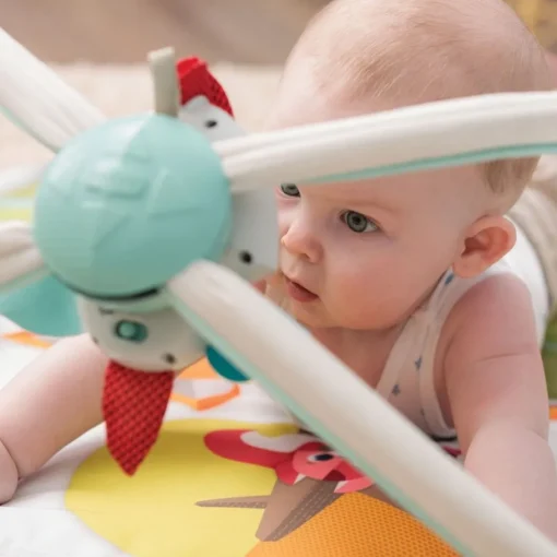 Gimnasio En El Bosque de Lujo Tiny Love