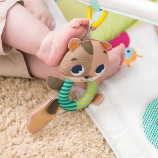 Gimnasio En El Bosque de Lujo Tiny Love