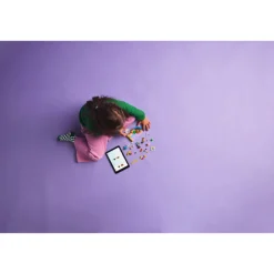 LEGO® Friends: Cuarto De Juegos De La Hermanita De Aliya