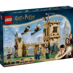 LEGO® Harry Potter: Castillo De Hogwarts™: Clase De Vuelo