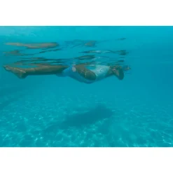 Swimways  Yogo Float - Aqua